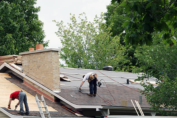 Best Storm Damage Roof Repair  in Shackle Island, TN