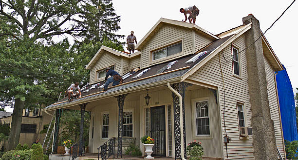 Best Best Roofing Contractors  in Shackle Island, TN
